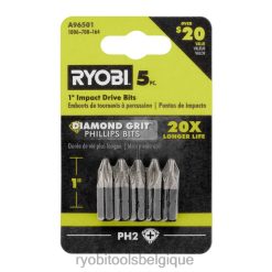 accessoires RYOBI 5 pièces. 1 embout à percussion diamant 486FN838