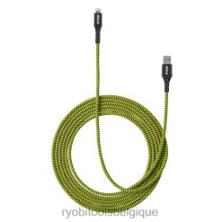 accessoires RYOBI Câble USB-A vers Lightning de 10' 486FN536