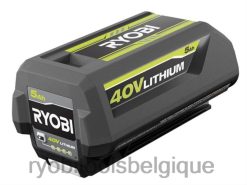 batteries et chargeurs RYOBI batterie 40v 5ah 486FN706