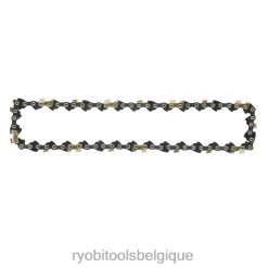 Extérieur RYOBI 10 chaînes de remplacement 486FN349