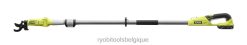 Extérieur RYOBI Kit d'élagueur 18 V One+ Pole 486FN341