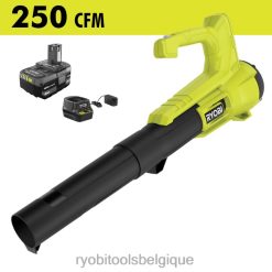 Extérieur RYOBI Kit souffleur/balayeuse 18v one+ 250 cfm 486FN312