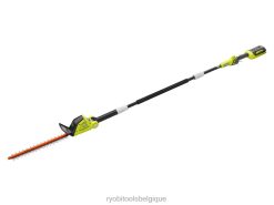 Extérieur RYOBI Kit taille-haie 40v 18 perches 486FN337